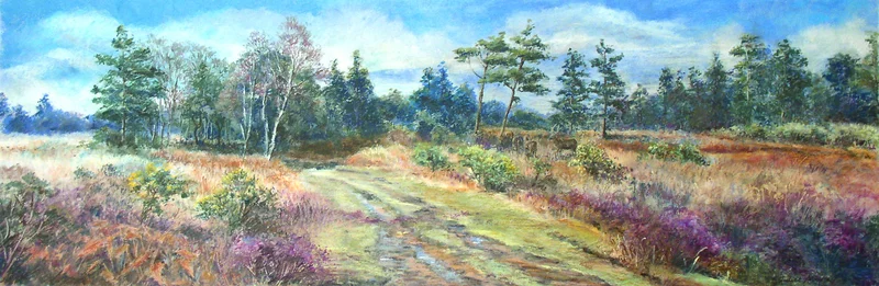 Ashdown Forest near Wych Cross (Panoramic)