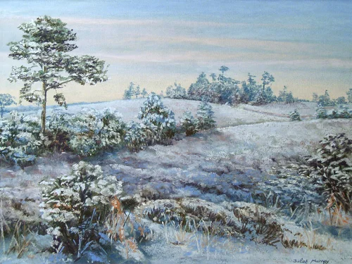 Snow at Gills Lap, Ashdown Forest